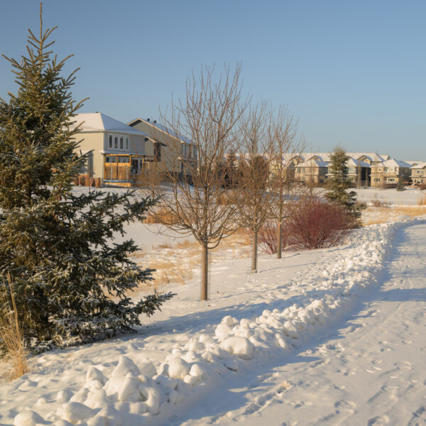 Snow covered walking path beside homes in Dansereau Meadows, Beaumont, Alberta.