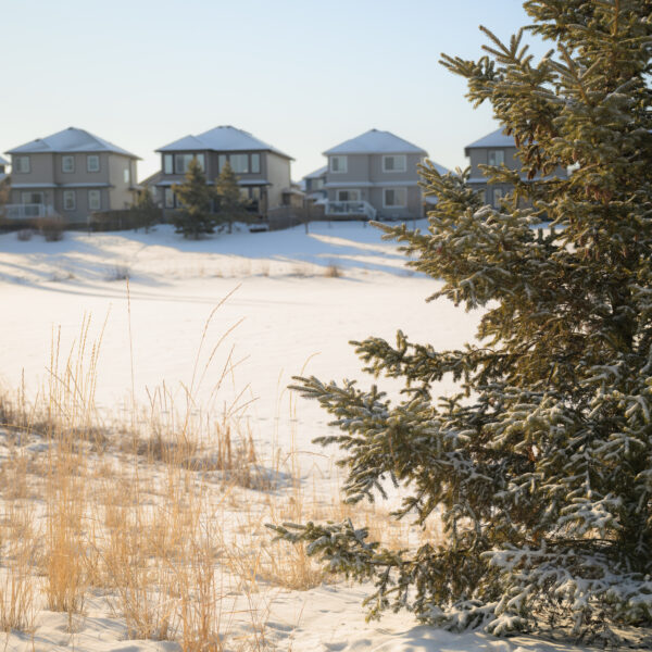 Homes backing onto a sloped snowy open space in Dansereau Meadows, Beaumont, Alberta.