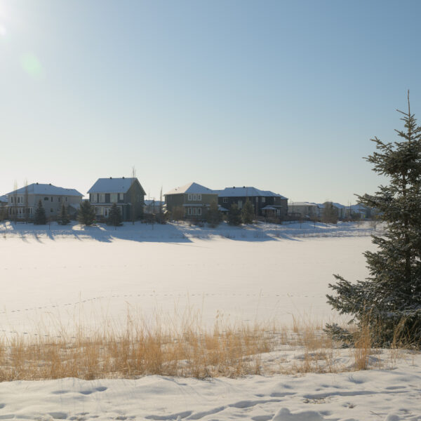 Snow covered pond and nearby homes in Dansereau Meadows, Beaumont, Alberta.